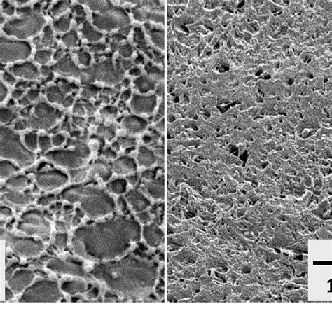 Sem Micrographs Of The Fracture Surface Of Injection Molded Blends A