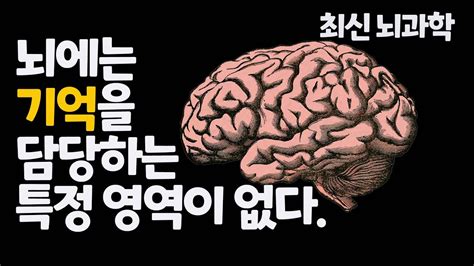 뇌는 기억을 이렇게 만든다 I 기억력 높이는 뇌과학적 방법 Youtube