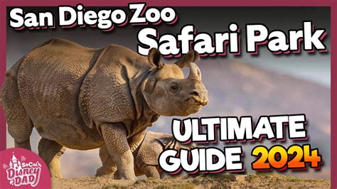 San Diego Zoo Safari Park 2024 Top Tips Tour Exhibits And More Youtube