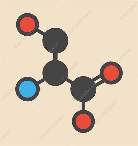 Serine Amino Acid Molecule Stock Image F Science Photo