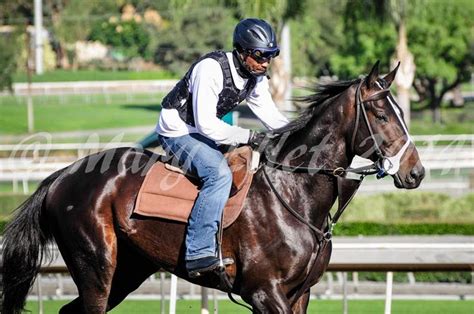 Cozmic One At Santa Anita