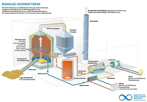 Wie Funktioniert Ein Biomasseheizkraftwerk Bmhkw Bettervest