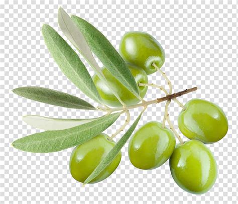 Oval Green Fruit Olive Leaf Olive Oil Olives Transparent Background