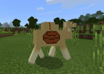 Download Camel Mod Minecraft Bedrock – Camel mod