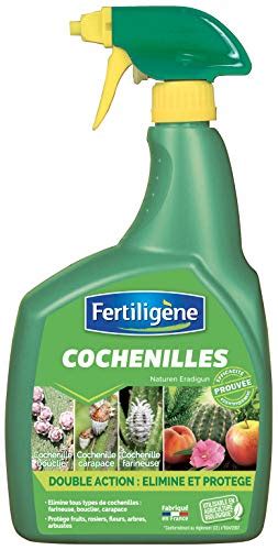 Comment Choisir Le Bon Traitement Anti Cochenilles Le Jardin De Zanzi