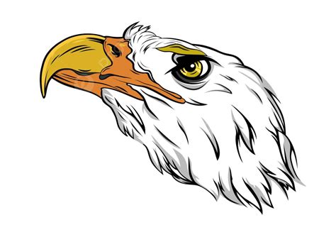 Eagle Headeps Hawk Cartoon Eagle Vector Hawk Cartoon Eagle Png And