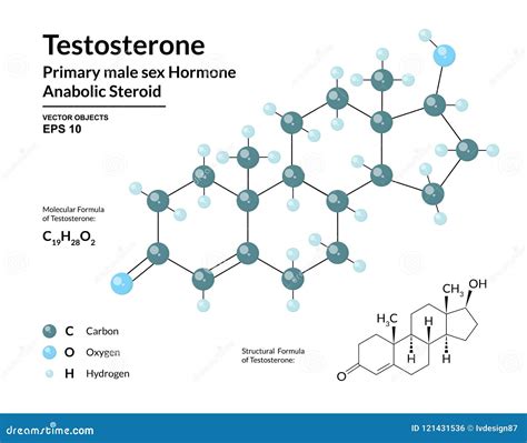 Testosterone Chemical Structure Vector Illustration Hand Drawn