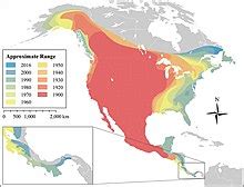 Coyote Distribution Map