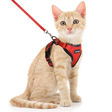 11 Best Escape Proof Cat Harnesses (2023 Reviews)