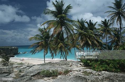 Barbados Climate Photos and Premium High Res Pictures - Getty Images