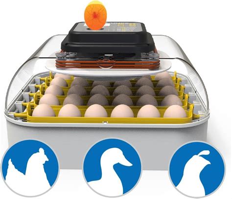 Maticoopx Egg Incubator With Humidity Display Egg Candler