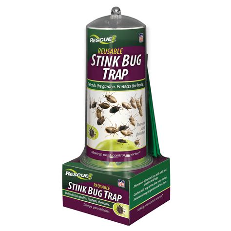 Stink Bug Trap