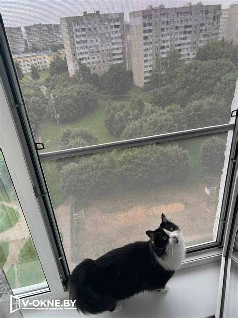 Антикошка москитная сетка на окна, купить антикот Pet Screen Минск