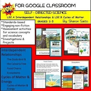 Ecosystems Ls Grades By Saito By Self Directed Science By Sharon Saito