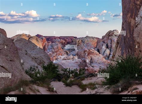 The White Domes Trail Weaves Through The Eroded Aztec Sandstone Of Valley Of Fire State Park In