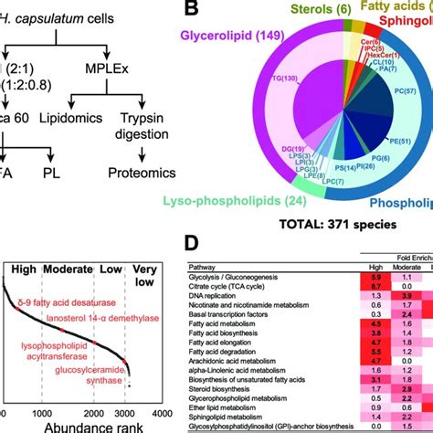 Proteomic And Lipidomic Analyses Of Histoplasma Capsulatum Yeast Cells