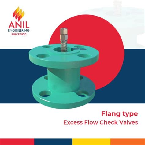 Flang Type Excess Flow Check Valves Eo Anil Engineering