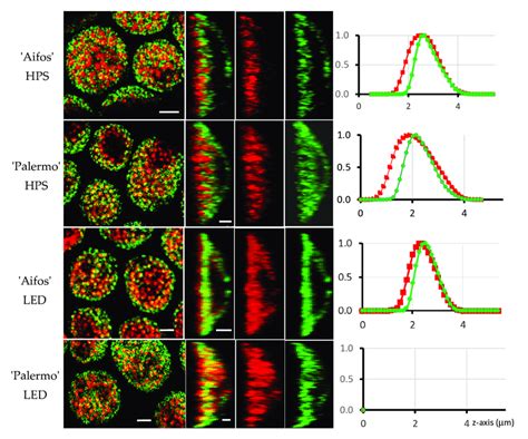 Fluorescence Levels Of Chlorophyll And Carotenoids False Red And Green