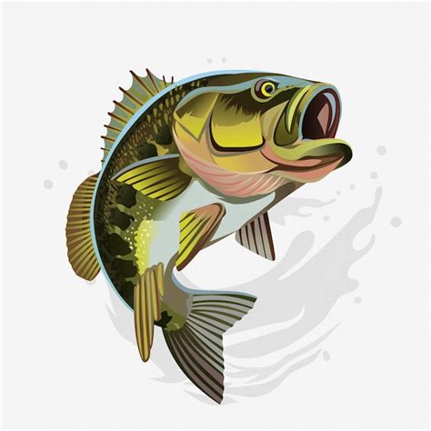 Bass Fisch Clipart Design Vektoren Und Illustrationen Zum Kostenlosen