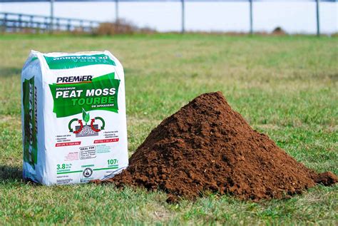 What Is Peat Moss Used For On Lawns Storables