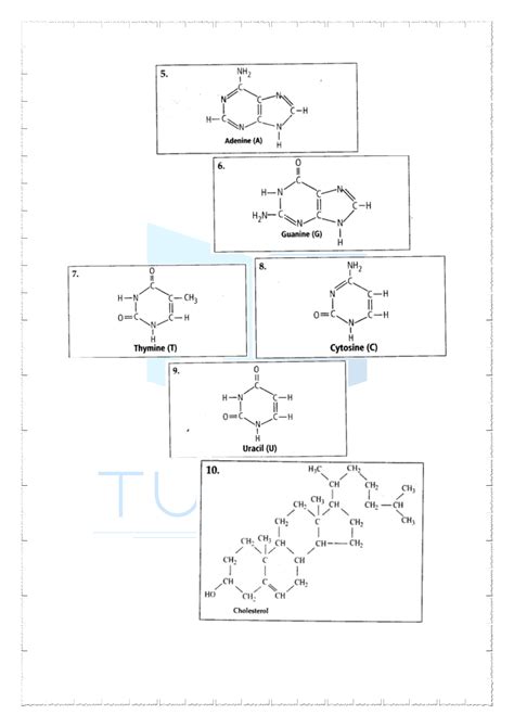 Ncert Solutions For Class Biology Chapter Biomolecules