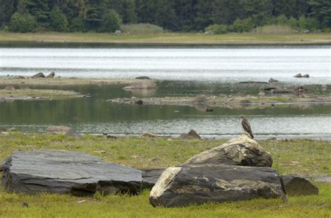 Rains Help Eastern Connecticut But Severe Drought Continues For Most