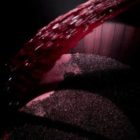 Cómo se elabora el vino tinto en 10 pasos