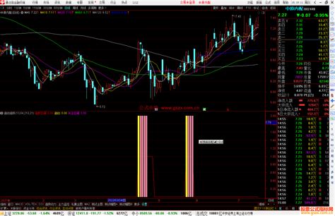 通达信启动活跃关注指标公式源码副图 通达信公式 公式网