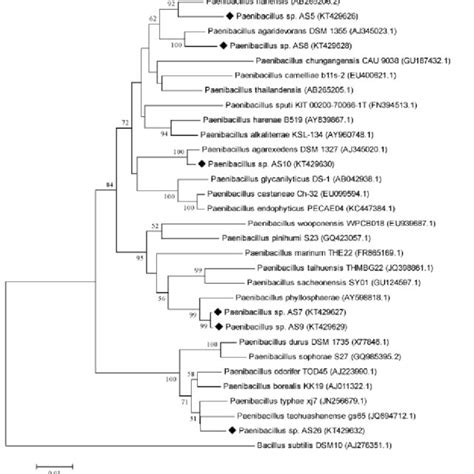 A Neighbor Joining Phylogenetic Tree Showing Taxonomic Relationships