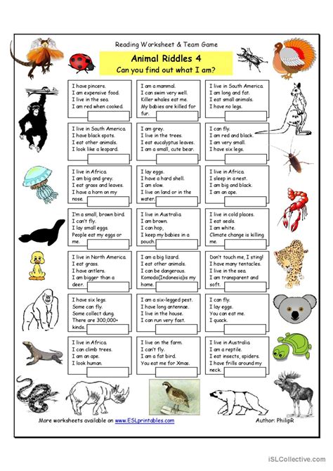 Animal Riddles 4 (more difficult): English ESL worksheets pdf & doc