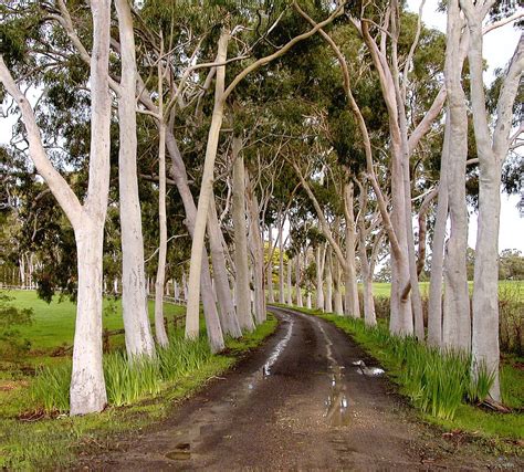 Cruden Farm Langwarrin Vic Australia Home Of Dame Elisabeth Murdoch