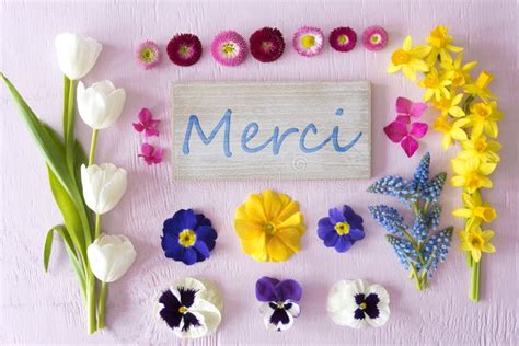 Flat Lay With Spring Flower Blossoms Sign Merci Means Thank You Stock