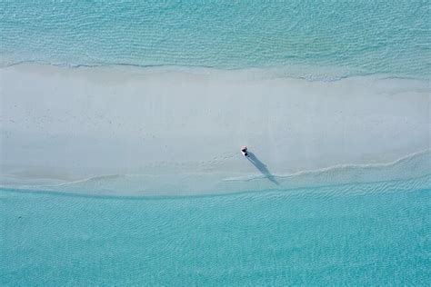 Dhigurah Island Excursion De Jours En Snorkeling Avec Les Requins