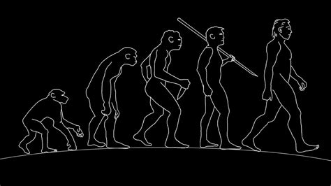 The Seven Stages of Human Evolution - Kain Ramsay