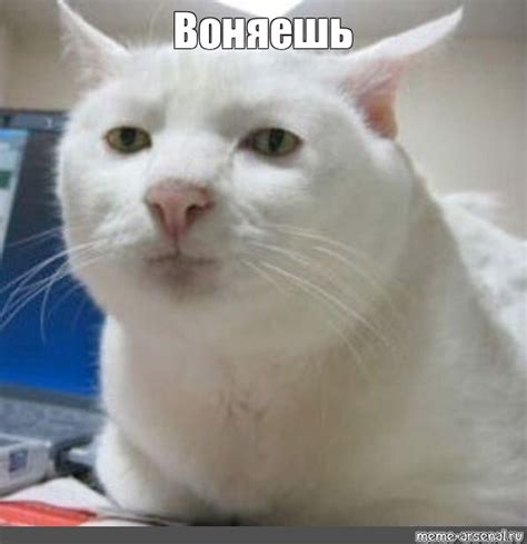Мем: "Воняешь" - Все шаблоны - Meme-arsenal.com