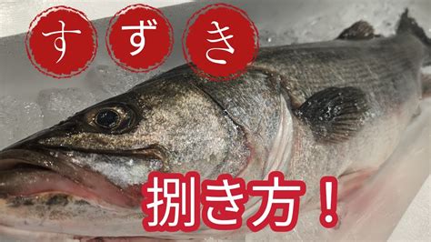 魚の捌き方 スズキ捌き方 Youtube