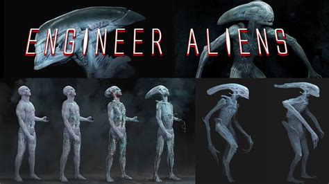 xenomorph concept
