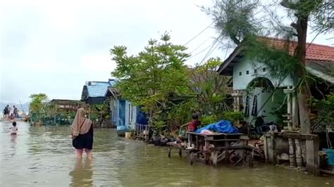 Puluhan Rumah Terendam Banjir Rob Warga Minta Pemerintah Beri Solusi