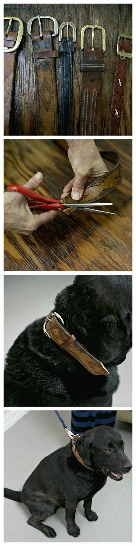 Convierte Tus Su Teres Viejos En Hermosa Ropa Para Tu Perro Diy