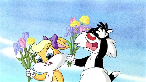 Baby Looney Tunes Season In Hindi Ali Tech World