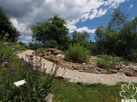 VISITE GUIDATE AL GIARDINO BOTANICO ALPINO DEL CANSIGLIO