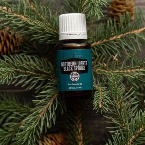 Aceite Esencial Northern Lights Black Spruce Mejorando Lo Presente Mlp