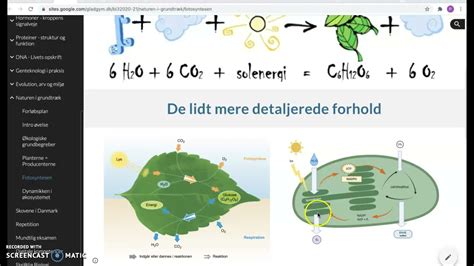 Fotosyntesen P Minutter Youtube