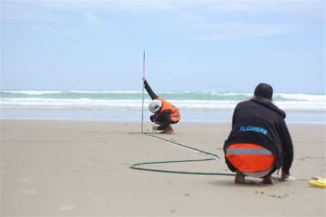 Depleted Toheroa Beds Struggling To Recover Rnz