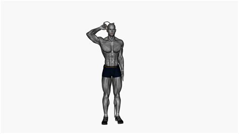 Unlock Your Triceps Strength A Beginners Guide To Single Arm Overhead