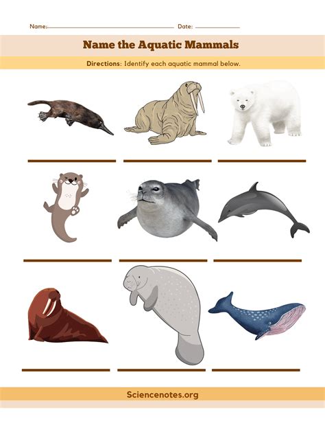 Animal Worksheets