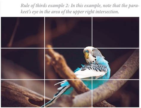 What Are The Differences Between Breaking Rules And Debunking Canons