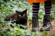 Gato preto não dá azar Entenda a origem do mito e por que combatê lo