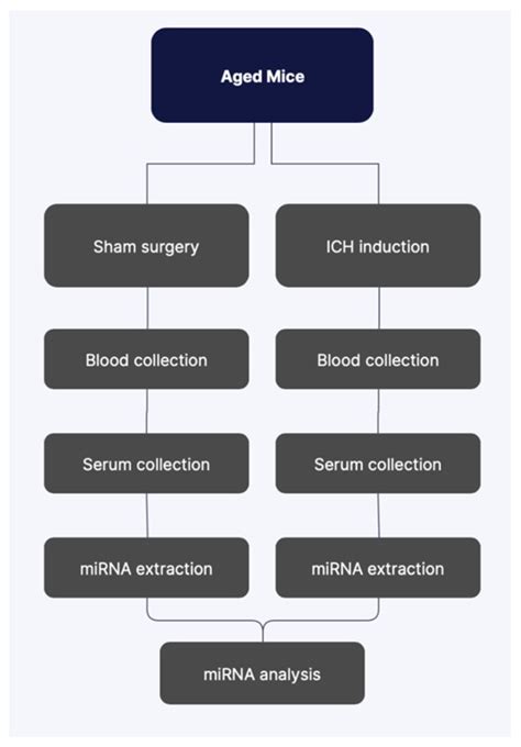 Biomedicines Free Full Text Dysregulation Of Serum Microrna After