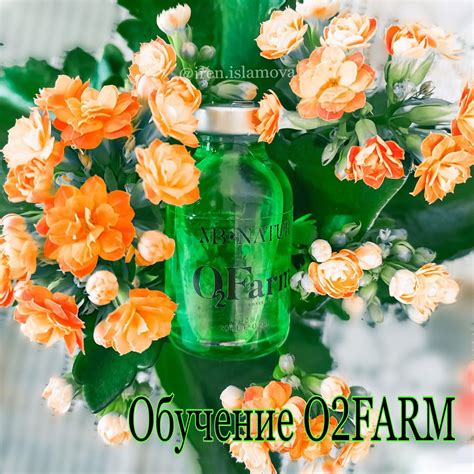 Счастье для бровей #O2Farm | Starbucks iced coffee, Starbucks iced ...